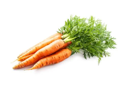 Sweet carrots root Stock Photos