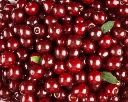 Sweet cherries background closeup Stock Photos
