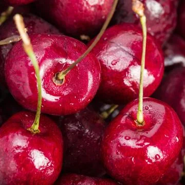 Sweet cherries as a background/ full frame Stock Photos