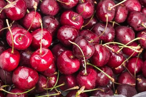 Sweet cherries as a background/ full frame Stock Photos