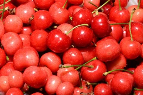 Sweet cherries as a background Stock Photos