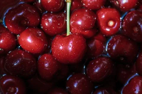 Sweet cherries background Stock Photos