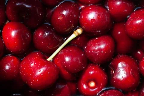 Sweet cherries background Stock Photos