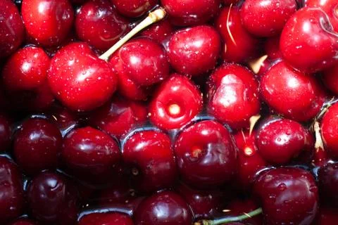 Sweet cherries background Stock Photos