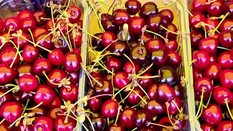 Sweet cherries in baskets stands on the counter at the fair Stock Footage 155690364