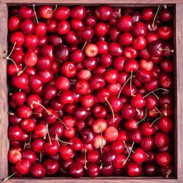 Sweet cherries in the box Stock Photos