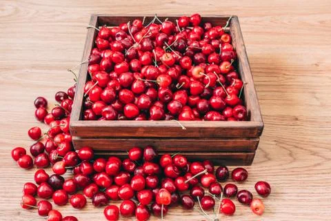Sweet cherries in the box Stock Photos