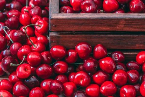 Sweet cherries in the box Stock Photos