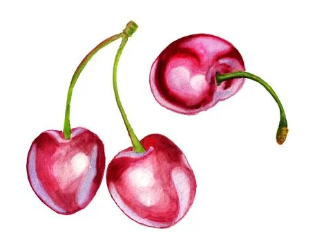 Sweet cherries Stock Illustration