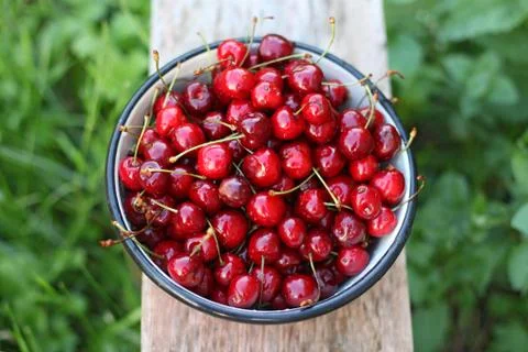 Sweet cherries Stock Photos