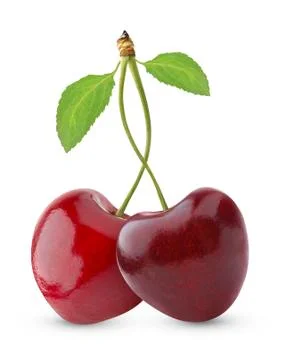 Sweet cherries Foto stock