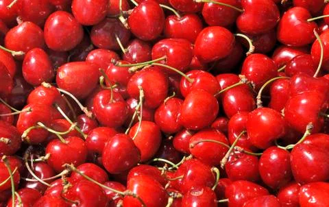 Sweet cherries Stock Photos