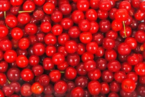 Sweet cherries texture Stock Photos