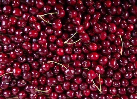 Sweet cherry background. Stock Photos
