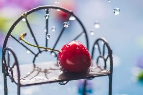 Sweet cherry on a bench in the rain. spring card Stock Photos