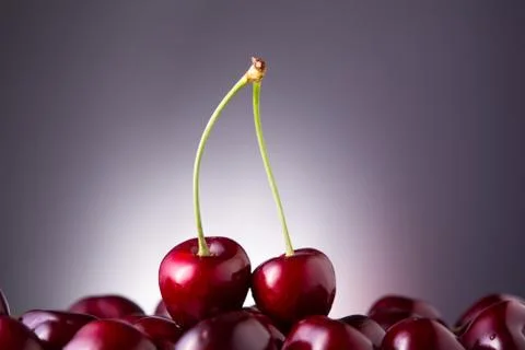 Sweet cherry on blue gradient background Фото