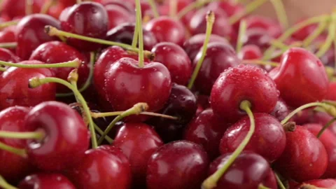 Sweet cherry 動画素材 197552815