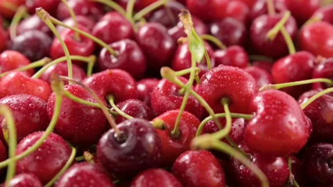 Sweet cherry Stock Footage 197984063