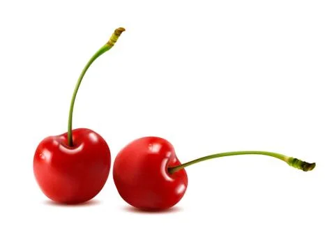 Sweet cherry isolated on white. vector illustration Stock Illustration