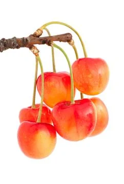 Sweet cherry Stock Photos