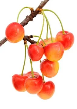 Sweet cherry Stock Photos