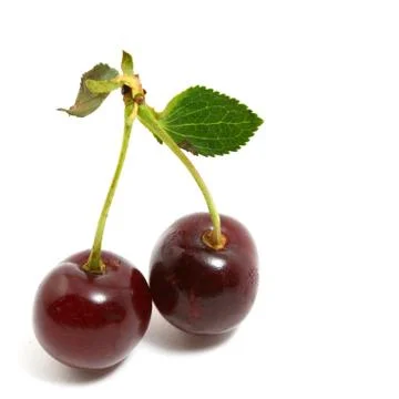 Sweet cherry Stock Photos