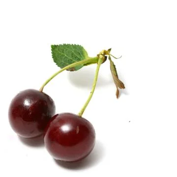 Sweet cherry Фото