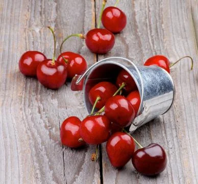 Sweet cherry Stock Photos