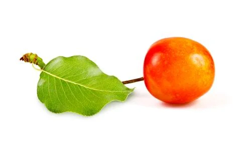 Sweet cherry Stock Photos