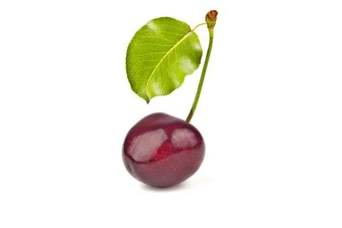 Sweet cherry Stock Photos