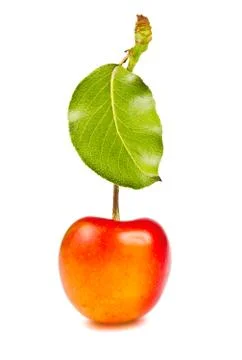 Sweet cherry Stock Photos
