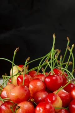 The sweet cherry 库存照片