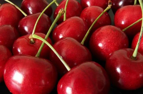 Sweet cherry Stock Photos