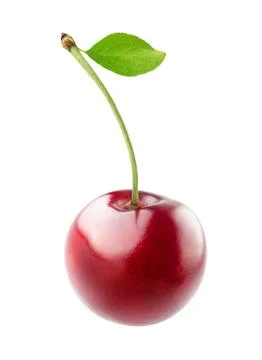 Sweet cherry Stock Photos