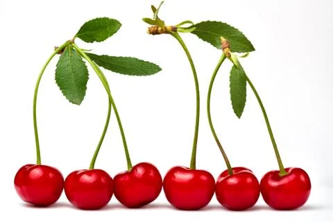 Sweet cherry Stock Photos