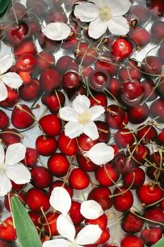 Sweet cherry Stock Photos