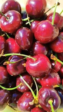 Sweet cherry 写真素材