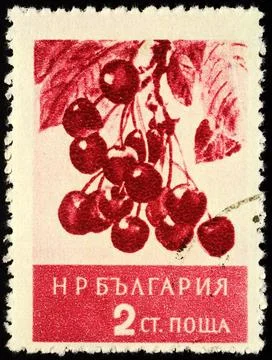 Sweet cherry on postage stamp Stock Photos