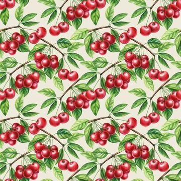 Sweet cherry. Seamless pattern with red berries. Botanical watercolor Stock Illustration