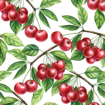 Sweet cherry. Seamless pattern with red berries. Botanical watercolor Stock Illustration