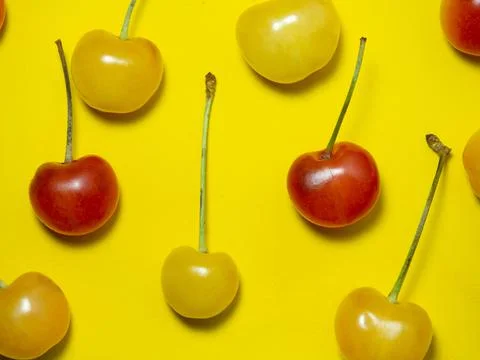 Sweet cherry with a stem on a yellow background. Bright table. Berries on the Stock Photos