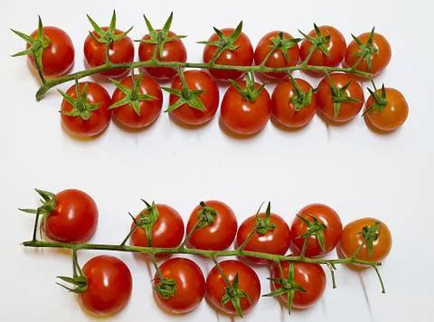 Sweet chery tomato 写真素材