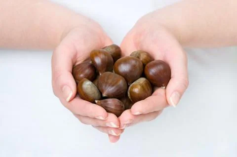 Sweet chestnuts Stock Photos