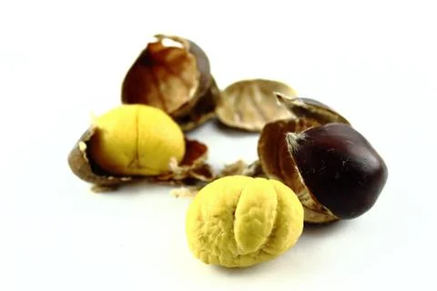 Sweet chestnuts Stock Photos