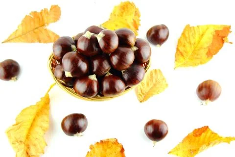 Sweet chestnuts Stock Photos