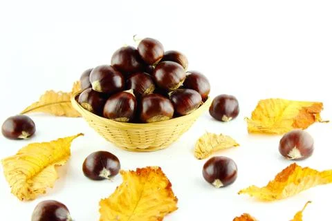 Sweet chestnuts Stock Photos