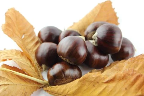 Sweet chestnuts Stock Photos