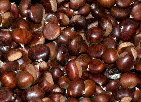 Sweet Chestnuts Stock Photos
