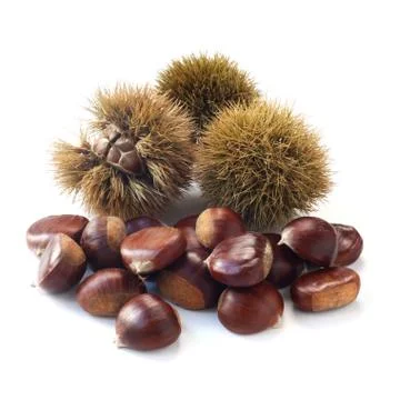 Sweet Chestnuts Foto stock