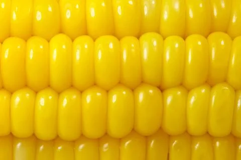 Sweet corn background Foto stock